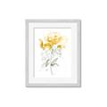 Picture of Yellow Floral II  _GroupedProduct_Rectangle_Portrait_Framed_Matted_