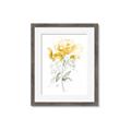 Picture of Yellow Floral II  _GroupedProduct_Rectangle_Portrait_Framed_Matted_