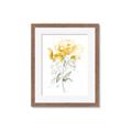 Picture of Yellow Floral II  _GroupedProduct_Rectangle_Portrait_Framed_Matted_