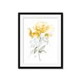 Picture of Yellow Floral II  _GroupedProduct_Rectangle_Portrait_Framed_Matted_