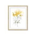 Picture of Yellow Floral II  _GroupedProduct_Rectangle_Portrait_Framed_Matted_