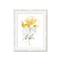Picture of Yellow Floral II  _GroupedProduct_Rectangle_Portrait_Framed_Matted_