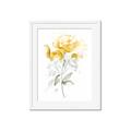 Picture of Yellow Floral II  _GroupedProduct_Rectangle_Portrait_Framed_Matted_