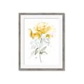 Picture of Yellow Floral II  _GroupedProduct_Rectangle_Portrait_Framed_Matted_