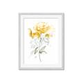 Picture of Yellow Floral II  _GroupedProduct_Rectangle_Portrait_Framed_Matted_