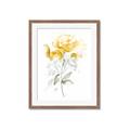 Picture of Yellow Floral II  _GroupedProduct_Rectangle_Portrait_Framed_Matted_