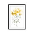 Picture of Yellow Floral II  _GroupedProduct_Rectangle_Portrait_Framed_Matted_