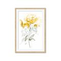 Picture of Yellow Floral II  _GroupedProduct_Rectangle_Portrait_Framed_Matted_