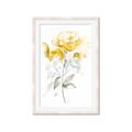 Picture of Yellow Floral II  _GroupedProduct_Rectangle_Portrait_Framed_Matted_