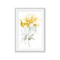 Picture of Yellow Floral II  _GroupedProduct_Rectangle_Portrait_Framed_Matted_