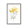 Picture of Yellow Floral II  _GroupedProduct_Rectangle_Portrait_Framed_Matted_