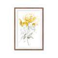 Picture of Yellow Floral II  _GroupedProduct_Rectangle_Portrait_Framed_Matted_