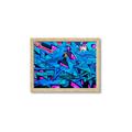 Picture of Graffiti Wall _GroupedProduct_Rectangle_Landscape_Photography _GroupedProduct_Rectangle_Landscape_Framed_Matted_