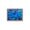 Picture of Graffiti Wall _GroupedProduct_Rectangle_Landscape_Photography _GroupedProduct_Rectangle_Landscape_Framed_Matted_
