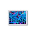 Picture of Graffiti Wall _GroupedProduct_Rectangle_Landscape_Photography _GroupedProduct_Rectangle_Landscape_Framed_Matted_