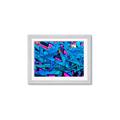 Picture of Graffiti Wall _GroupedProduct_Rectangle_Landscape_Photography _GroupedProduct_Rectangle_Landscape_Framed_Matted_