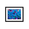 Picture of Graffiti Wall _GroupedProduct_Rectangle_Landscape_Photography _GroupedProduct_Rectangle_Landscape_Framed_Matted_