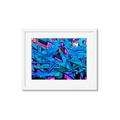 Picture of Graffiti Wall _GroupedProduct_Rectangle_Landscape_Photography _GroupedProduct_Rectangle_Landscape_Framed_Matted_