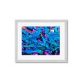 Picture of Graffiti Wall _GroupedProduct_Rectangle_Landscape_Photography _GroupedProduct_Rectangle_Landscape_Framed_Matted_