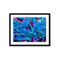 Picture of Graffiti Wall _GroupedProduct_Rectangle_Landscape_Photography _GroupedProduct_Rectangle_Landscape_Framed_Matted_
