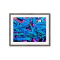 Picture of Graffiti Wall _GroupedProduct_Rectangle_Landscape_Photography _GroupedProduct_Rectangle_Landscape_Framed_Matted_