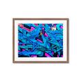 Picture of Graffiti Wall _GroupedProduct_Rectangle_Landscape_Photography _GroupedProduct_Rectangle_Landscape_Framed_Matted_