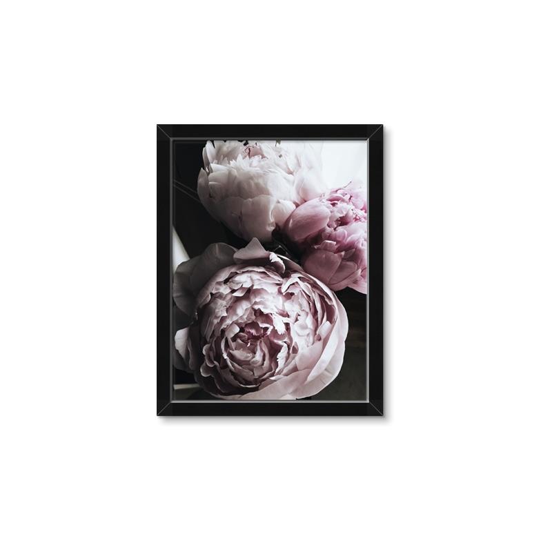 Picture of Blush Bloom _GroupedProduct_Rectangle_Portrait_Photography _GroupedProduct_Rectangle_Portrait_Framed_Matted_
