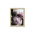 Picture of Blush Bloom _GroupedProduct_Rectangle_Portrait_Photography _GroupedProduct_Rectangle_Portrait_Framed_Matted_