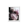 Picture of Blush Bloom _GroupedProduct_Rectangle_Portrait_Photography _GroupedProduct_Rectangle_Portrait_Framed_Matted_