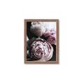 Picture of Blush Bloom _GroupedProduct_Rectangle_Portrait_Photography _GroupedProduct_Rectangle_Portrait_Framed_Matted_