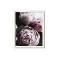 Picture of Blush Bloom _GroupedProduct_Rectangle_Portrait_Photography _GroupedProduct_Rectangle_Portrait_Framed_Matted_