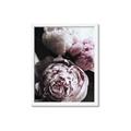 Picture of Blush Bloom _GroupedProduct_Rectangle_Portrait_Photography _GroupedProduct_Rectangle_Portrait_Framed_Matted_