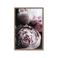Picture of Blush Bloom _GroupedProduct_Rectangle_Portrait_Photography _GroupedProduct_Rectangle_Portrait_Framed_Matted_