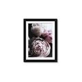 Picture of Blush Bloom _GroupedProduct_Rectangle_Portrait_Photography _GroupedProduct_Rectangle_Portrait_Framed_Matted_