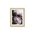 Picture of Blush Bloom _GroupedProduct_Rectangle_Portrait_Photography _GroupedProduct_Rectangle_Portrait_Framed_Matted_