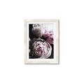 Picture of Blush Bloom _GroupedProduct_Rectangle_Portrait_Photography _GroupedProduct_Rectangle_Portrait_Framed_Matted_