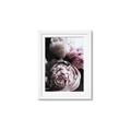 Picture of Blush Bloom _GroupedProduct_Rectangle_Portrait_Photography _GroupedProduct_Rectangle_Portrait_Framed_Matted_
