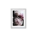 Picture of Blush Bloom _GroupedProduct_Rectangle_Portrait_Photography _GroupedProduct_Rectangle_Portrait_Framed_Matted_
