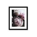Picture of Blush Bloom _GroupedProduct_Rectangle_Portrait_Photography _GroupedProduct_Rectangle_Portrait_Framed_Matted_