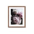 Picture of Blush Bloom _GroupedProduct_Rectangle_Portrait_Photography _GroupedProduct_Rectangle_Portrait_Framed_Matted_