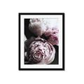 Picture of Blush Bloom _GroupedProduct_Rectangle_Portrait_Photography _GroupedProduct_Rectangle_Portrait_Framed_Matted_