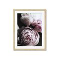 Picture of Blush Bloom _GroupedProduct_Rectangle_Portrait_Photography _GroupedProduct_Rectangle_Portrait_Framed_Matted_