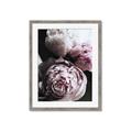 Picture of Blush Bloom _GroupedProduct_Rectangle_Portrait_Photography _GroupedProduct_Rectangle_Portrait_Framed_Matted_