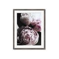 Picture of Blush Bloom _GroupedProduct_Rectangle_Portrait_Photography _GroupedProduct_Rectangle_Portrait_Framed_Matted_