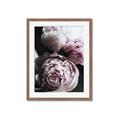 Picture of Blush Bloom _GroupedProduct_Rectangle_Portrait_Photography _GroupedProduct_Rectangle_Portrait_Framed_Matted_