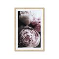 Picture of Blush Bloom _GroupedProduct_Rectangle_Portrait_Photography _GroupedProduct_Rectangle_Portrait_Framed_Matted_