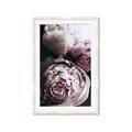 Picture of Blush Bloom _GroupedProduct_Rectangle_Portrait_Photography _GroupedProduct_Rectangle_Portrait_Framed_Matted_