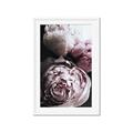 Picture of Blush Bloom _GroupedProduct_Rectangle_Portrait_Photography _GroupedProduct_Rectangle_Portrait_Framed_Matted_