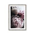 Picture of Blush Bloom _GroupedProduct_Rectangle_Portrait_Photography _GroupedProduct_Rectangle_Portrait_Framed_Matted_