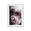Picture of Blush Bloom _GroupedProduct_Rectangle_Portrait_Photography _GroupedProduct_Rectangle_Portrait_Framed_Matted_
